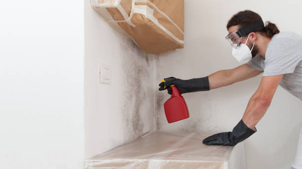 Professional Bathroom Mold Removal technician working in Wye Mills, MD